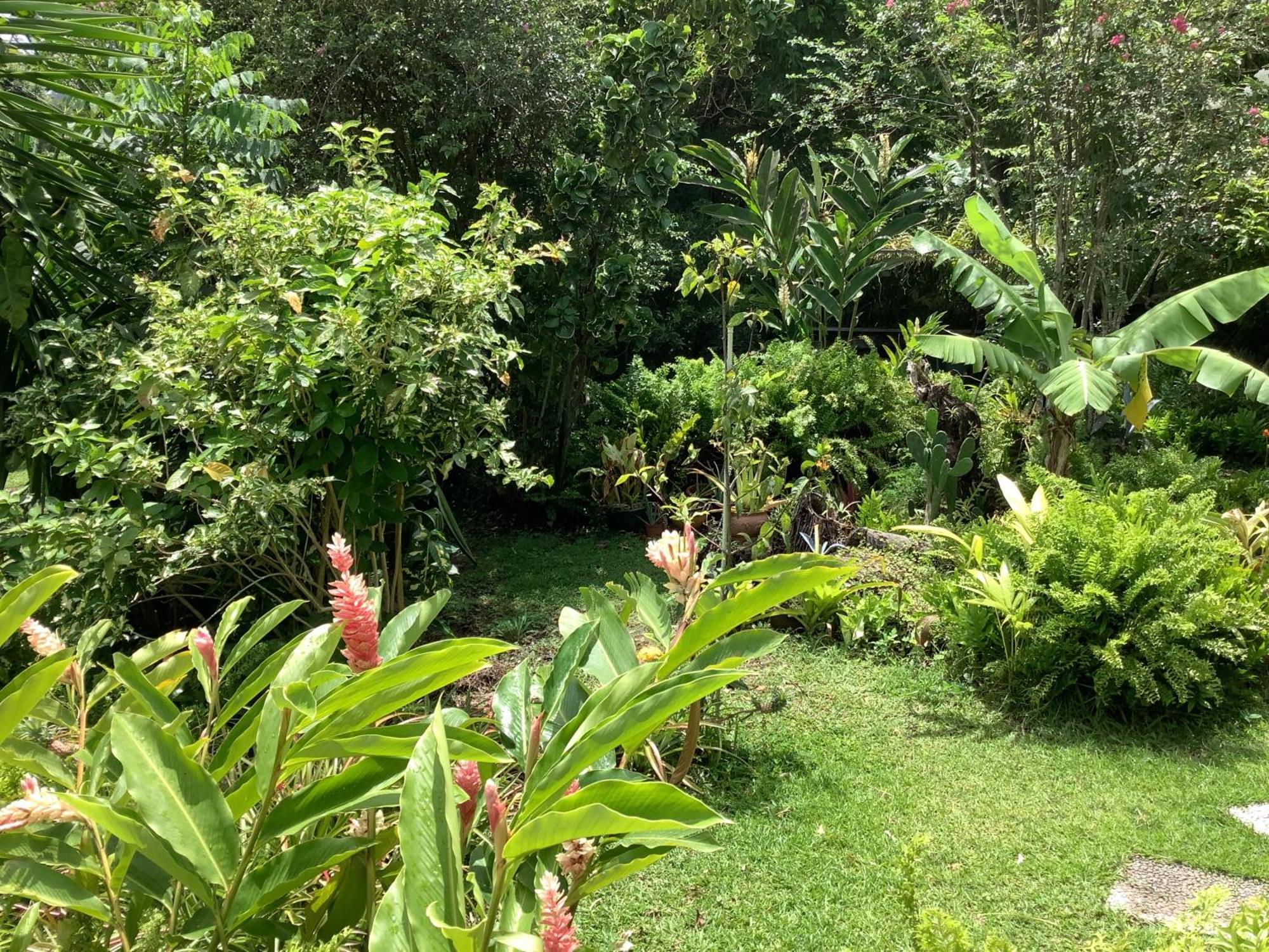 La Siguine Villa Gourbeyre Buitenkant foto