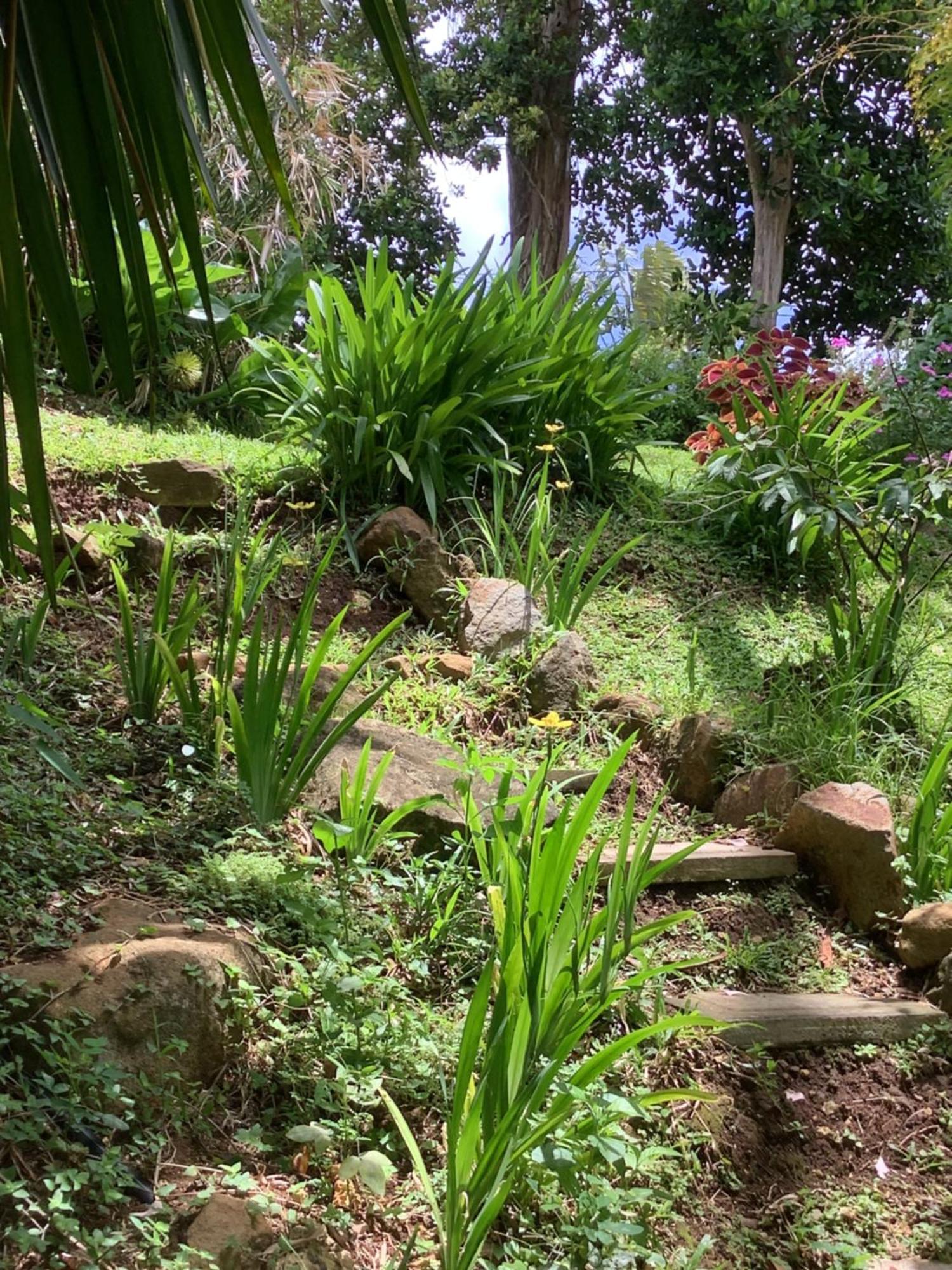 La Siguine Villa Gourbeyre Buitenkant foto